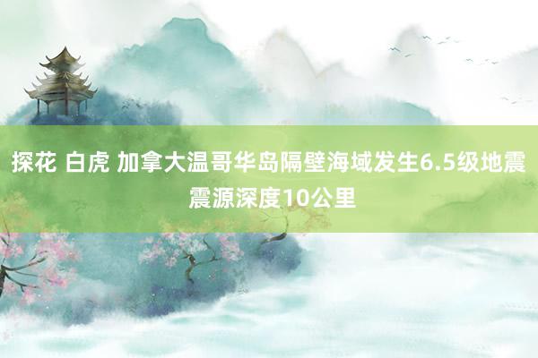 探花 白虎 加拿大温哥华岛隔壁海域发生6.5级地震 震源深度10公里