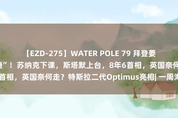 【EZD-275】WATER POLE 79 拜登要退选？阛阓押注“特朗普大捷”！苏纳克下课，斯塔默上台，8年6首相，英国奈何走？特斯拉二代Optimus亮相| 一周海外财经