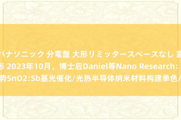 パナソニック 分電盤 大形リミッタースペースなし 露出・半埋込両用形 2023年10月，博士后Daniel等Nano Research：劣势SnO2:Sb基光催化/光热半导体纳米材料构建单色/多色诊疗系统与变色织物