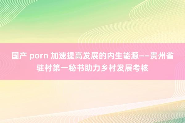 国产 porn 加速提高发展的内生能源——贵州省驻村第一秘书助力乡村发展考核